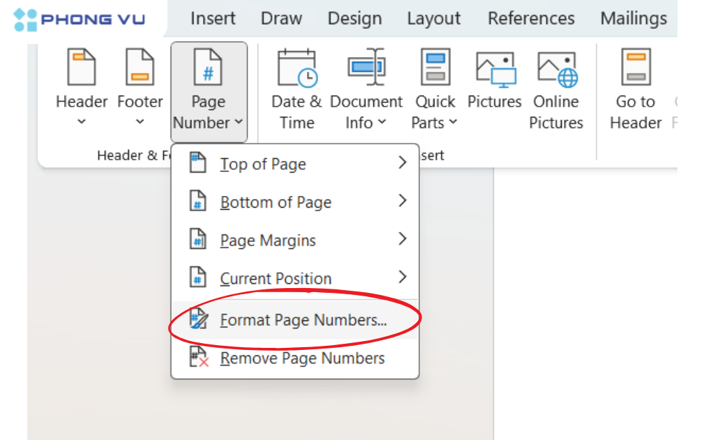 Trong nhóm  "Header & Footer", nhấp vào "Page Number" -> "Format Page Numbers..."