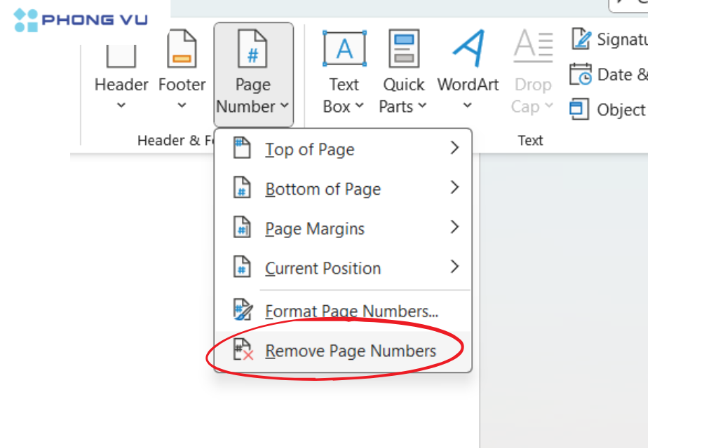 Trong menu xổ xuống, chọn "Remove Page Numbers"