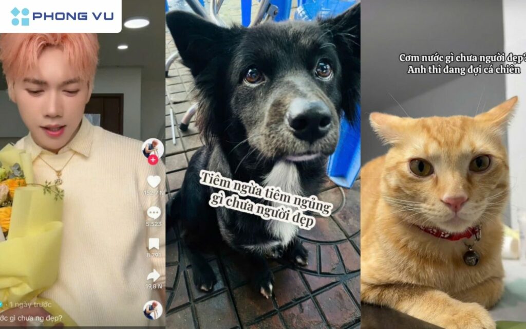 Hot lên vì sự dễ thương, dí dỏm