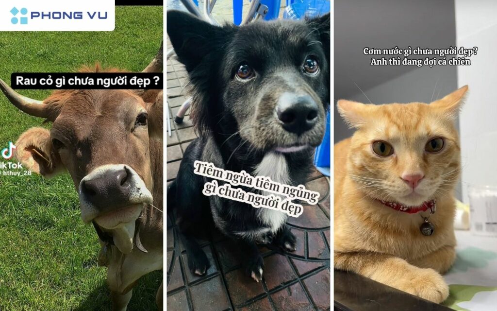 Một vài biến thể của trend "Cơm nước gì chưa người đẹp" cực hài hước