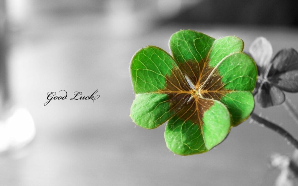 hinh nen may man 55 2