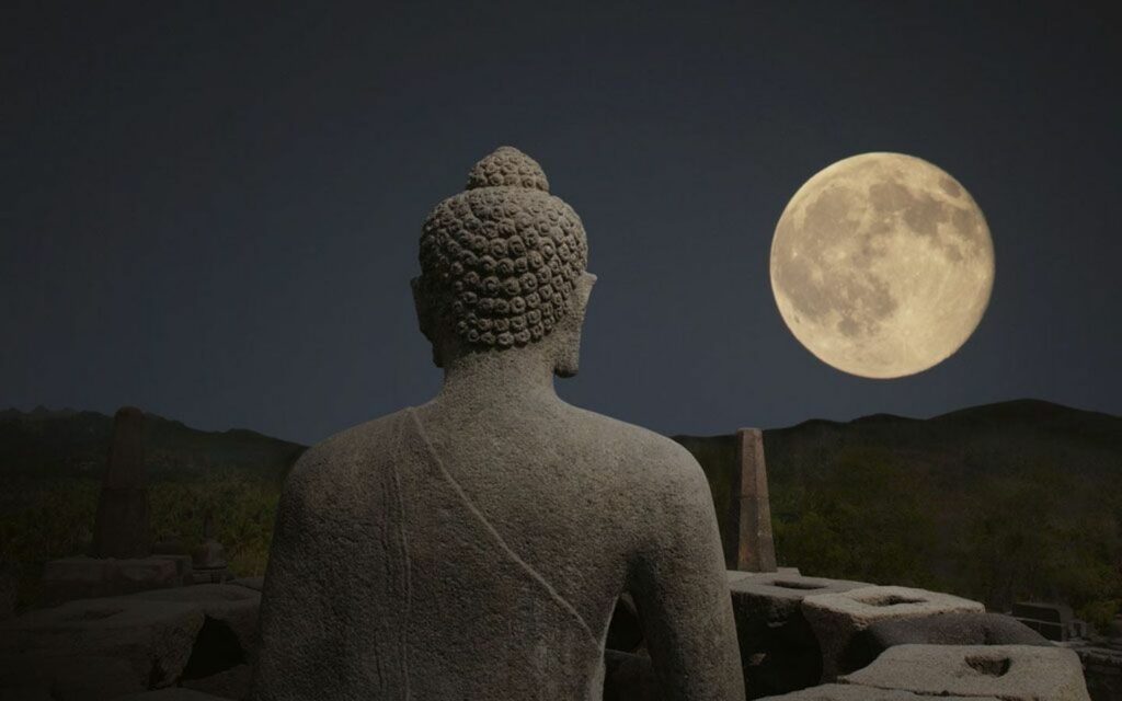 hinh nen may man 81 1