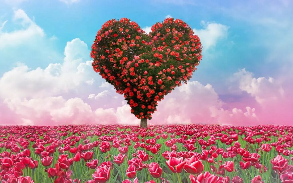 hinh nen valentine 91 1