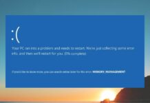 Hướng dẫn cách sửa lỗi Memory Management trên Windows 11/10