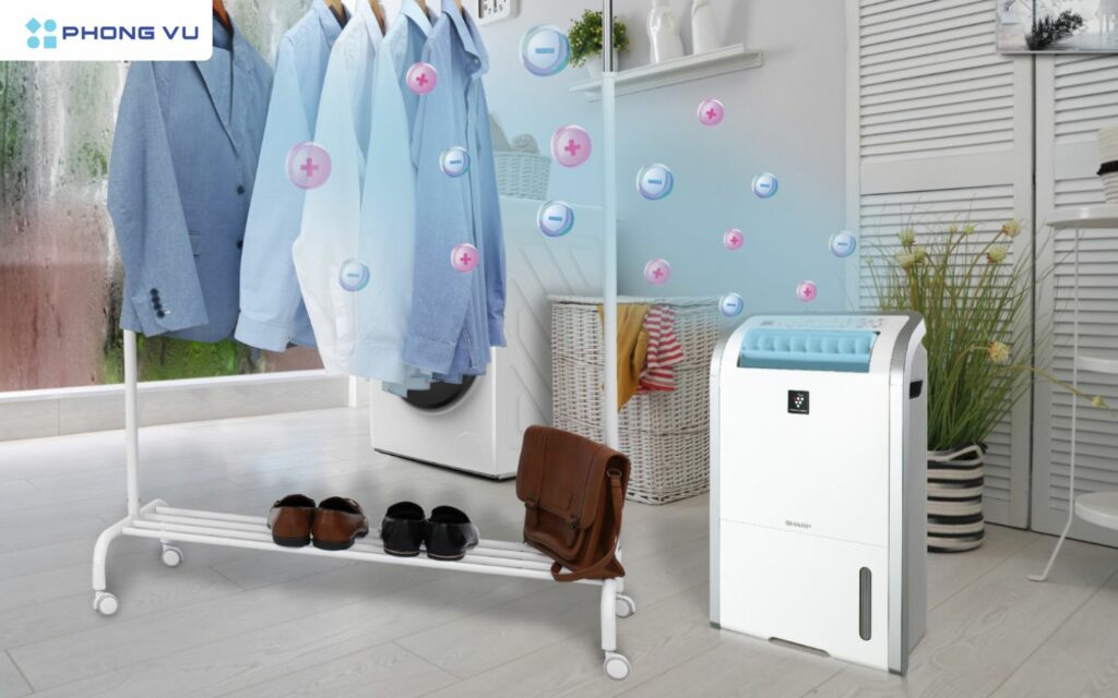 Sử dụng máy hút ẩm là cách đối phó với nồm ẩm hiệu quả nhất