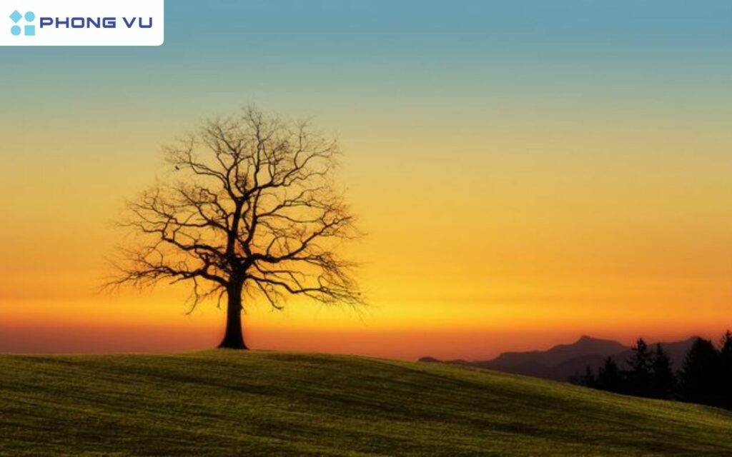 Tổng hợp những bài thơ hay về cuộc sống vui vẻ, giản dị, an nhiên 1 Thơ hay ngắn 2 câu - Khoảnh khắc lắng đọng của cuộc sống