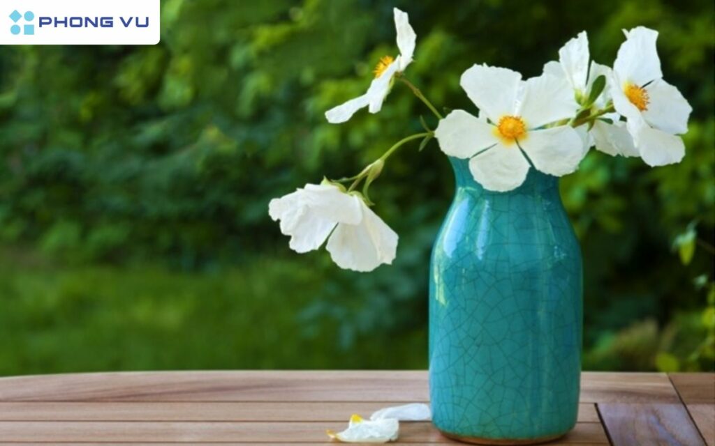 Tổng hợp những bài thơ hay về cuộc sống vui vẻ, giản dị, an nhiên 5 Thơ về cuộc sống giản dị - Vẻ đẹp tiềm ẩn trong sự đơn sơ