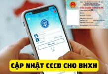 Cách cập nhật CCCD cho BHXH để không bị khóa tài khoản