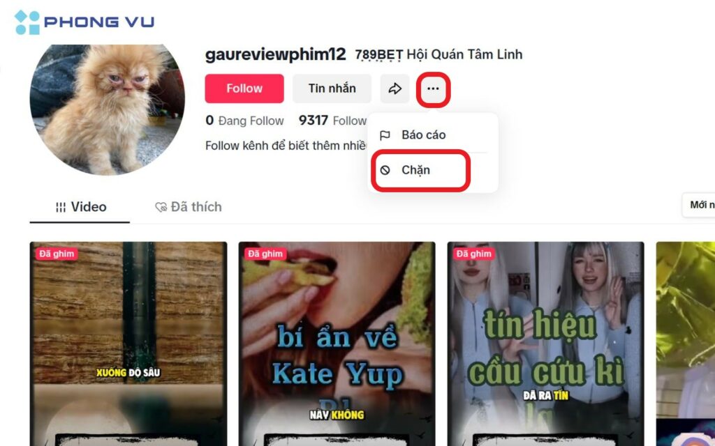 Nhấn vào biểu tượng ba dấu chấm rồi chọn Chặn