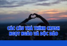 100+ Cap thả thính, Status hay, sang chảnh khiến crush xiêu lòng