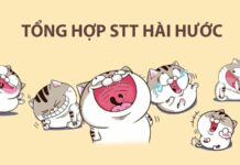 Top 100+ caption hài hước, vui nhộn giúp bài đăng của bạn triệu like Tổng hợp caption hài hước