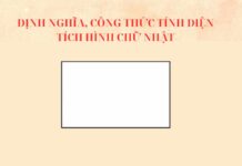 Diện tích hình chữ nhật: Định nghĩa, công thức và bài tập có lời giải Công thức tính diện tích hình chữ nhật