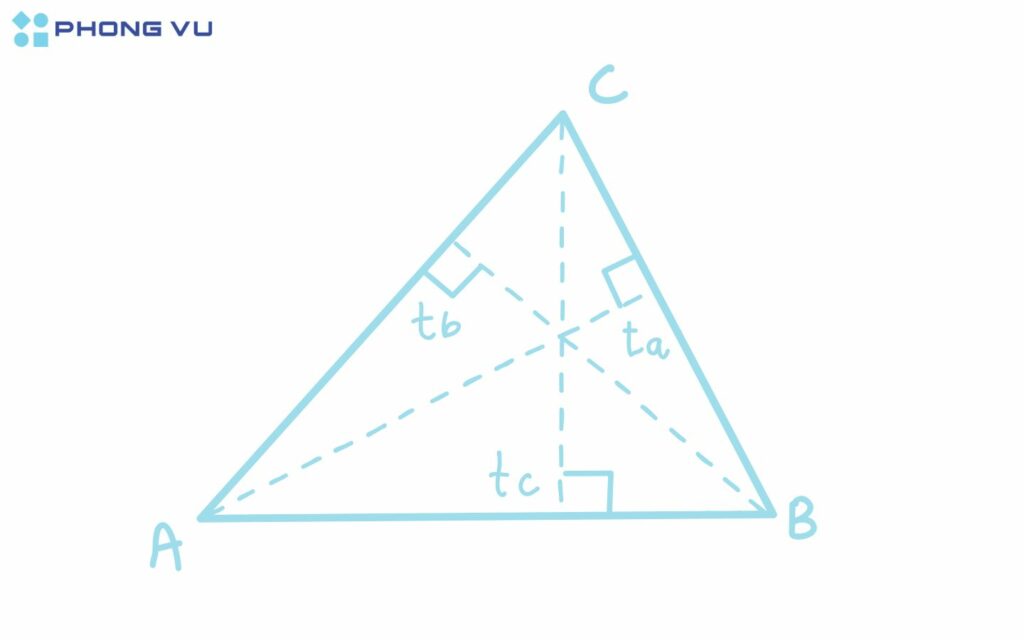 Toàn bộ công thức tính diện tích tam giác chính xác nhất 2025 3 Phân biệt các loại hình tam giác.