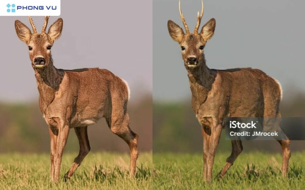 Google Gemini 2.0 Flash có thể xóa Watermark cực đỉnh, hoàn toàn miễn phí 2 Google Gemini 2.0 Flash có thể xóa Watermark cực đỉnh