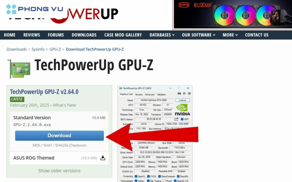 Nhấn nút Download