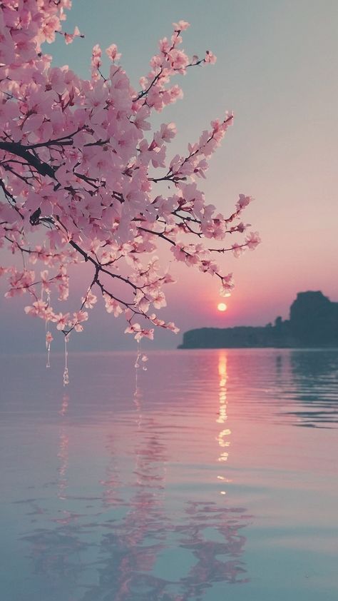 hình nền đẹp mọi chủ đề dành cho điện thoại (47)