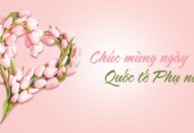 101+ Lời chúc 8/3 ngắn gọn, hay nhất 2025 cho chị em phụ nữ Tổng hợp lời chúc 8/3 hay và ý nghĩa
