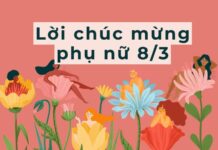 50+ Lời chúc 8/3 cho mẹ ngắn gọn, hay và ý nghĩa nhất 2025 Lời chúc 8/3