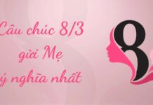 Tổng hợp lời chúc 8/3 cho mẹ hay và ý nghĩa nhất 2025 Lời chúc 8/3 cho mẹ