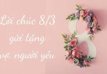 Top 30+ lời chúc 8/3 cho người yêu lãng mạn, cute nhất 2025 Lời chúc 8/3 cho người yêu