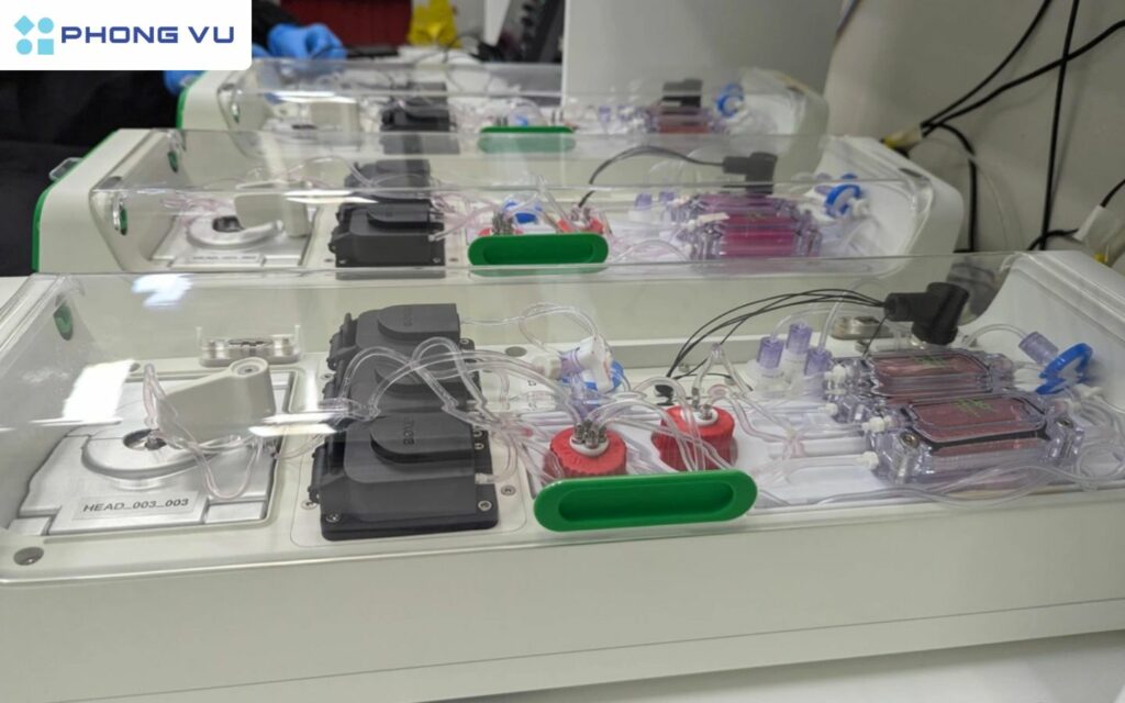 may tinh sinh hoc dau tien dung te bao than kinh nguoi 2