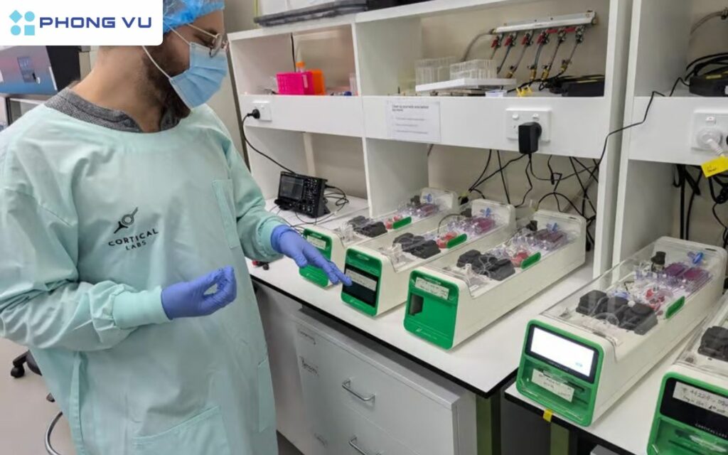 Việc sử dụng tế bào não người để tính toán đặt ra nhiều câu hỏi về đạo đức