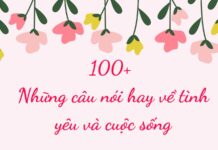 100+ những câu nói hay về tình yêu và cuộc sống ý nghĩa nhất
