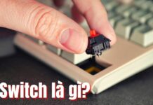 Switch bàn phím cơ là gì? Các loại Switch phổ biến hiện nay