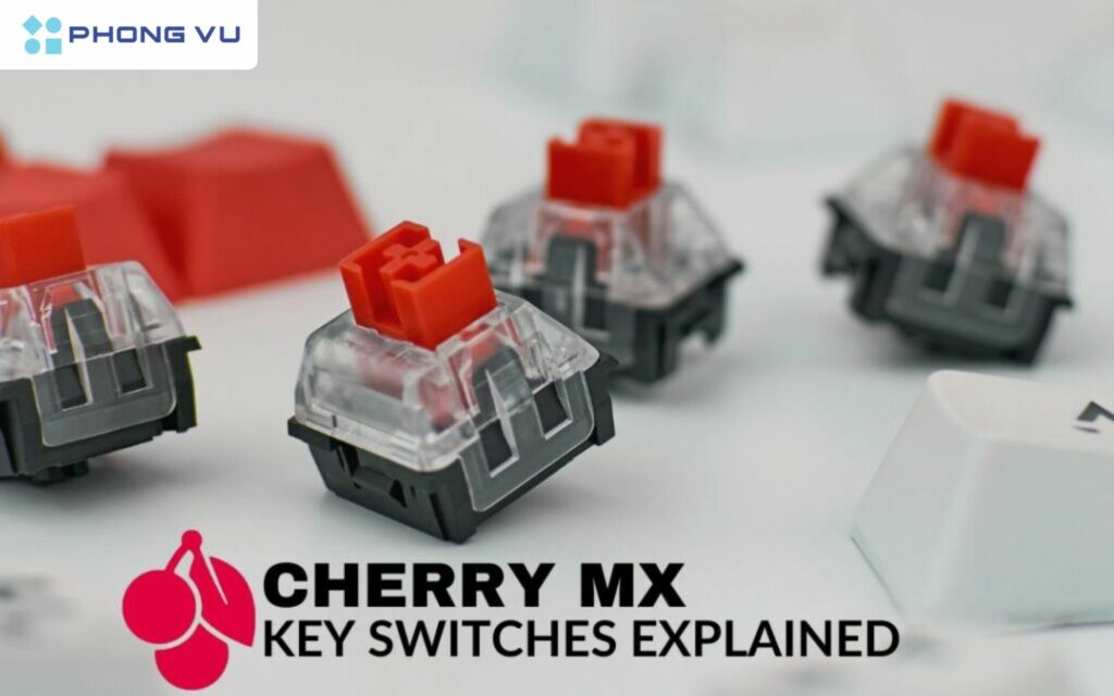 Cherry MX (Red, Black, Brown, Blue, Speed)