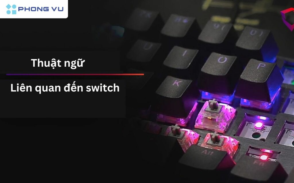Thuật ngữ liên quan đến switch nên biết