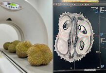 Bị Trung Quốc từ chối, Thái Lan dùng máy CT – Scan để “quét” sầu riêng