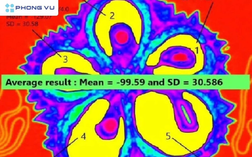 Thái Lan đã quyết định áp dụng công nghệ quét CT-Scan kết hợp với trí tuệ nhân tạo (AI) để kiểm tra chất lượng sầu riêng trước khi xuất khẩu