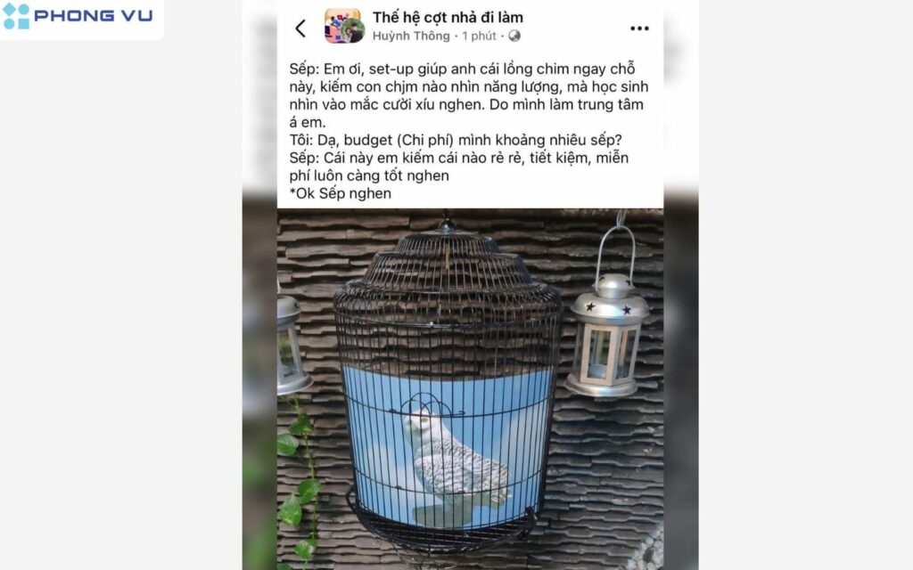 Trend thế hệ cợt nhả bắt nguồn từ việc gen Z muốn tạo môi trường làm việc thoải mái thay vì quá căng thẳng