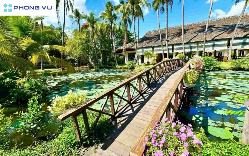 Khu Du Lịch Bình Quới không gian quê hương thanh bình, hoạt động dân gian, ẩm thực Nam Bộ