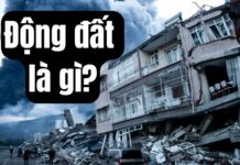 Cách cài đặt, sử dụng ứng dụng cảnh báo động đất chính xác tại Việt Nam