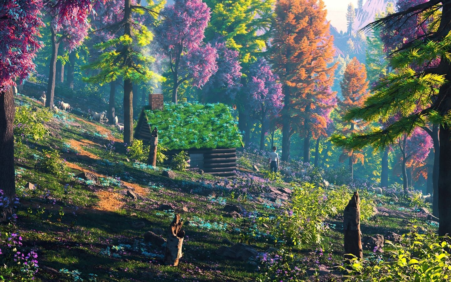 Khu rừng thần tiên huyền bí