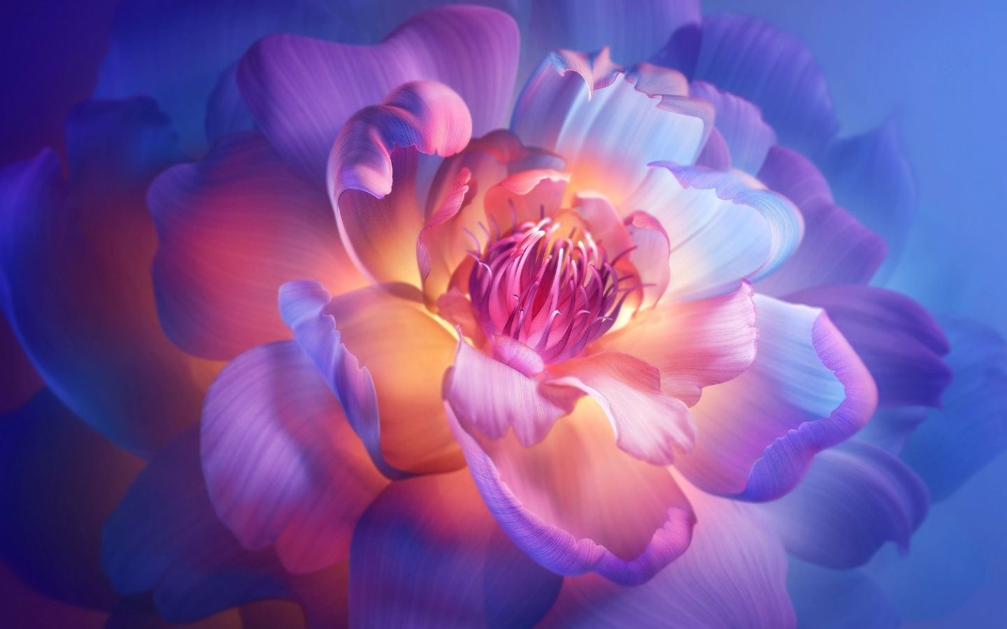 Mẫu đơn lung linh ánh sáng