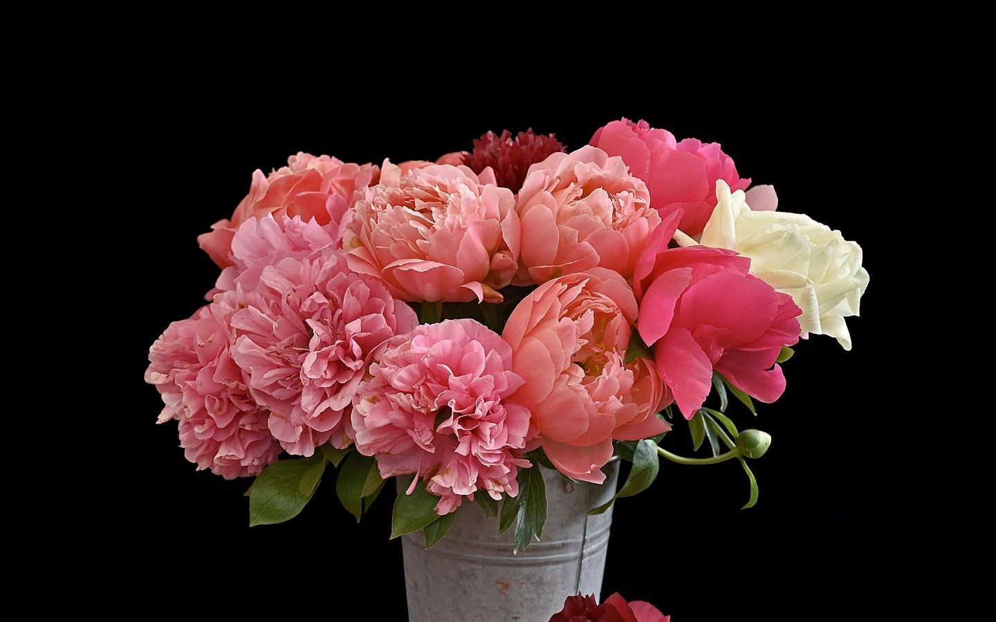 Lọ hoa mẫu đơn đa sắc