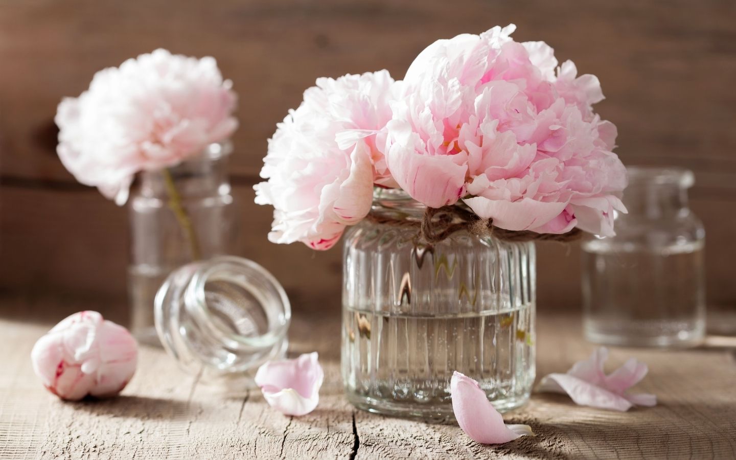 Mẫu đơn hồng trong lọ thủy tinh