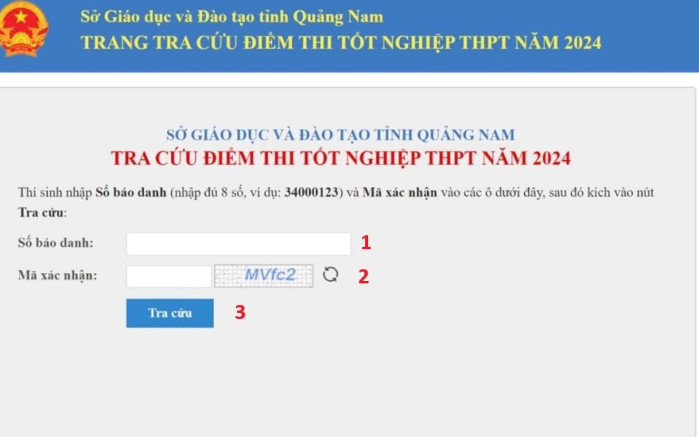 Điền đầy đủ thông tin theo hướng dẫn để xem kết quả (Nguồn: Internet)