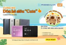 Tặng Gấu bông Capybara siêu đáng yêu khi mua ổ cứng WD tại Phong Vũ