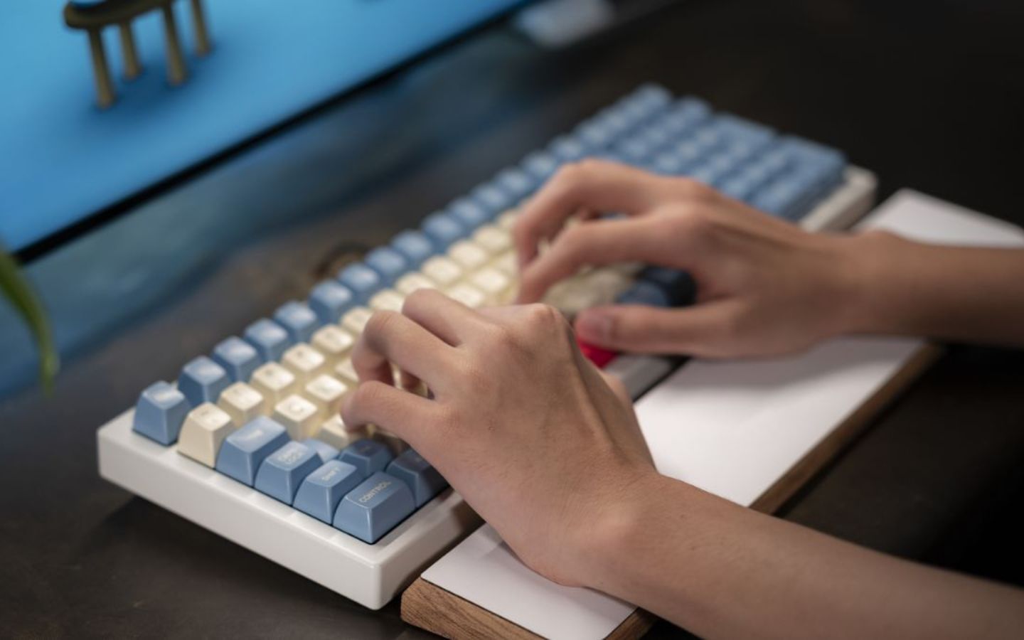 Luyện tập gõ Telex bằng 10 ngón nhằm tăng tốc độ gõ (Nguồn: Internet)