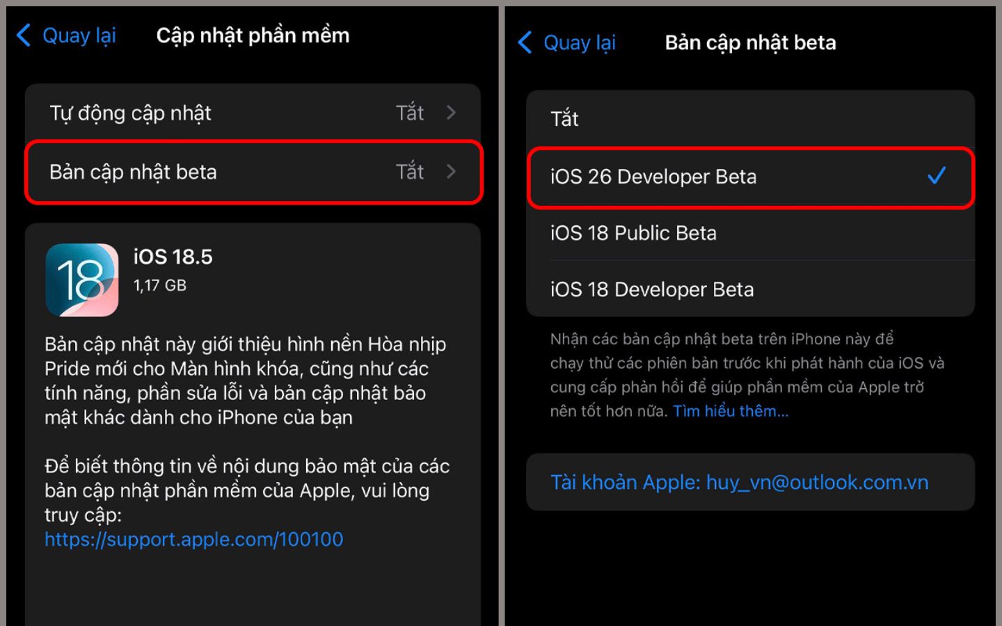 Chọn Cập nhật phần mềm > Cập nhật iOS 26 Developer Beta