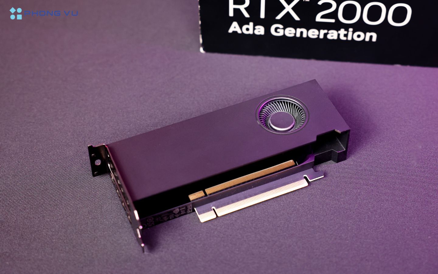 RTX 2000 thể hiện vượt trội nhờ driver tối ưu và tính năng chuyên dụng