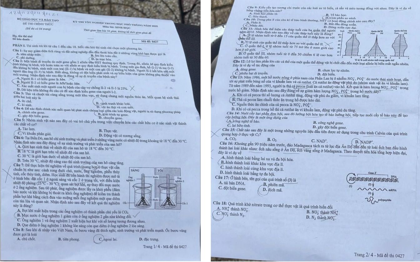 Đề thi môn Sinh học mã 0427 trang 1- 2