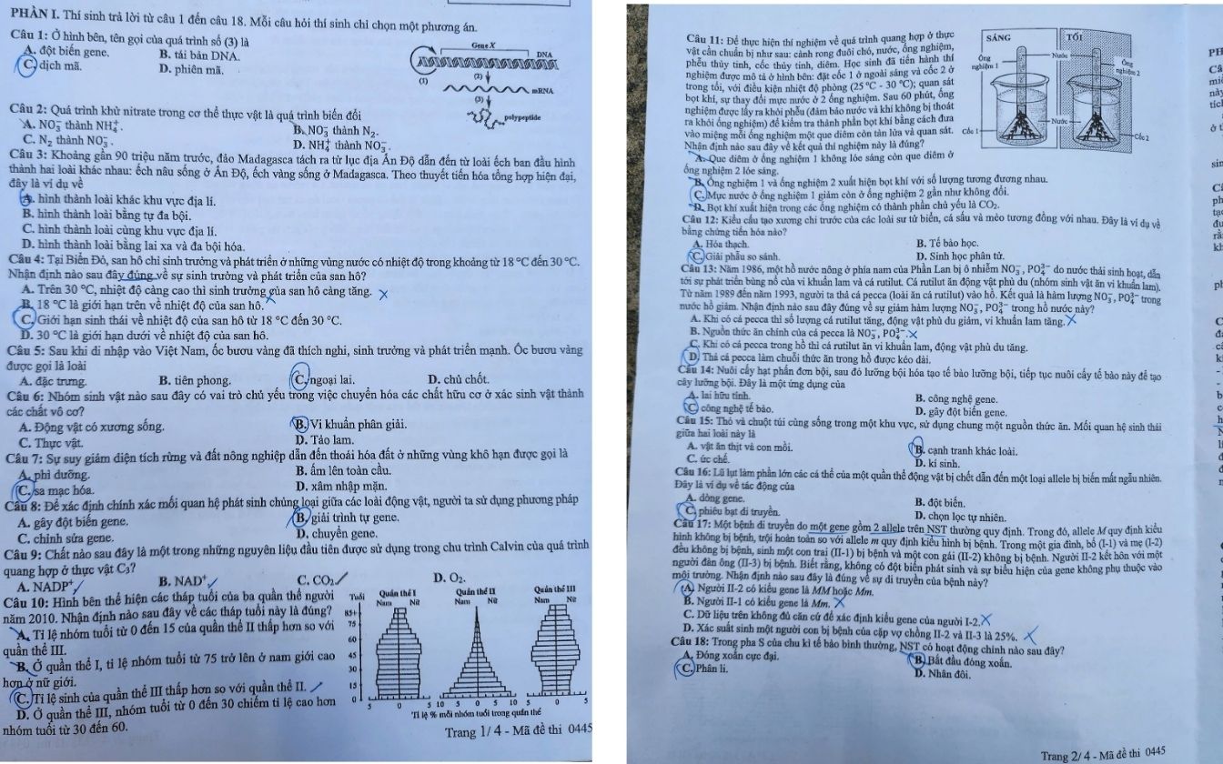 Đề thi môn Sinh học mã 0445 trang 1- 2