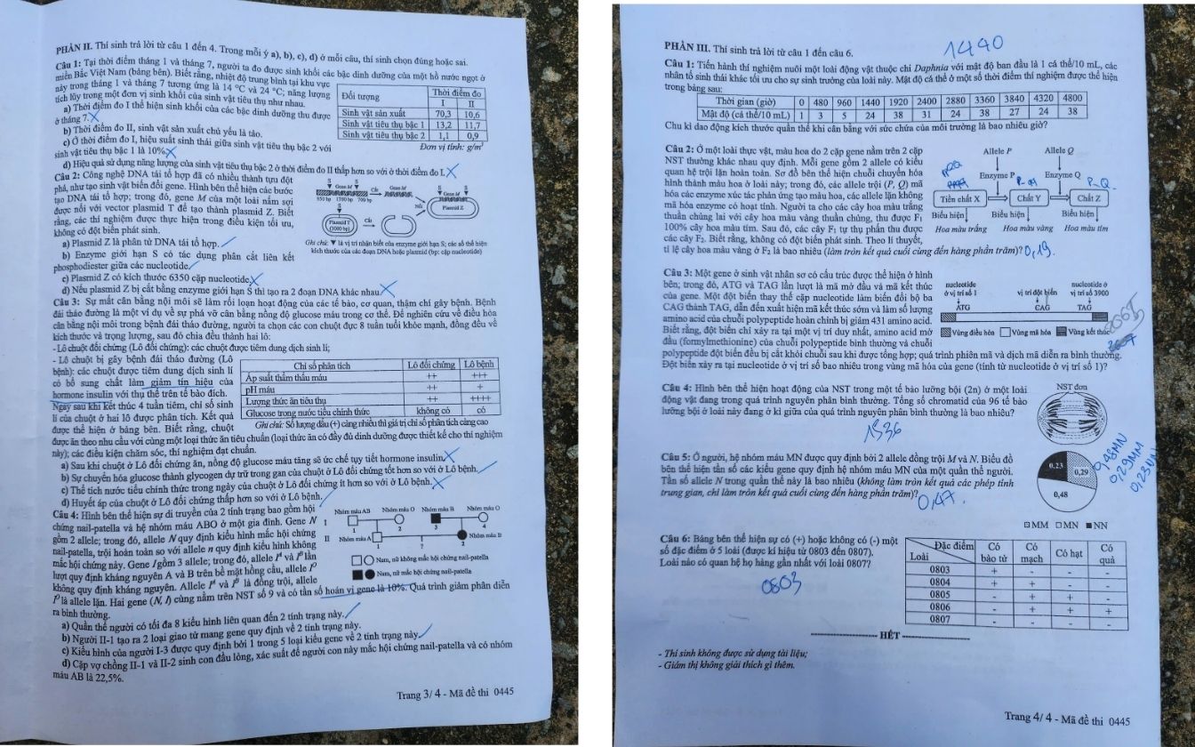 Đề thi môn Sinh học mã 0445 trang 3 - 4