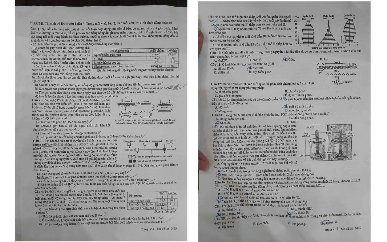 Đề thi môn Sinh học mã 0429 trang 3 - 4