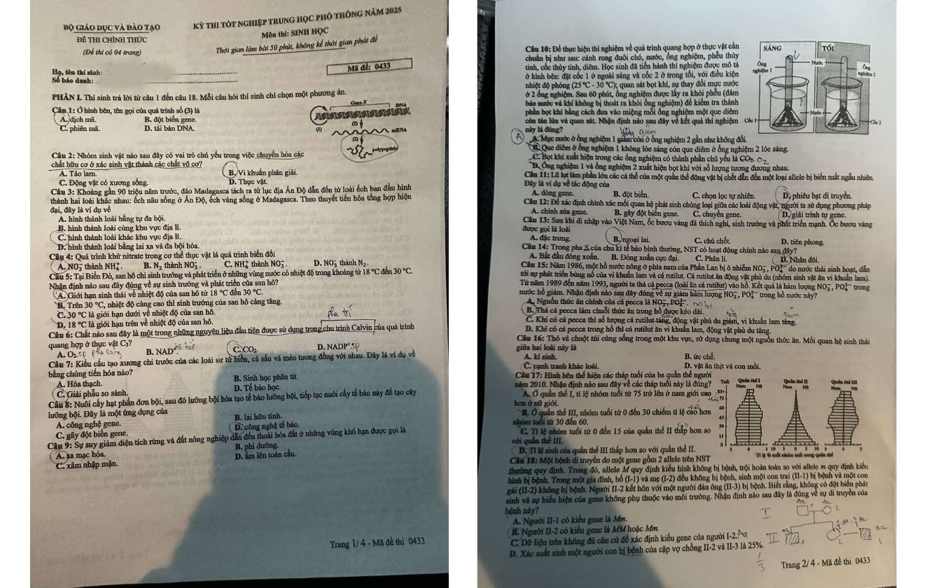 Đề thi môn Sinh học mã 0433 trang 1- 2