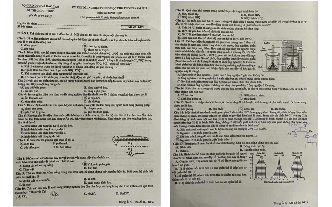 Đề thi môn Sinh học mã 0439 trang 1- 2